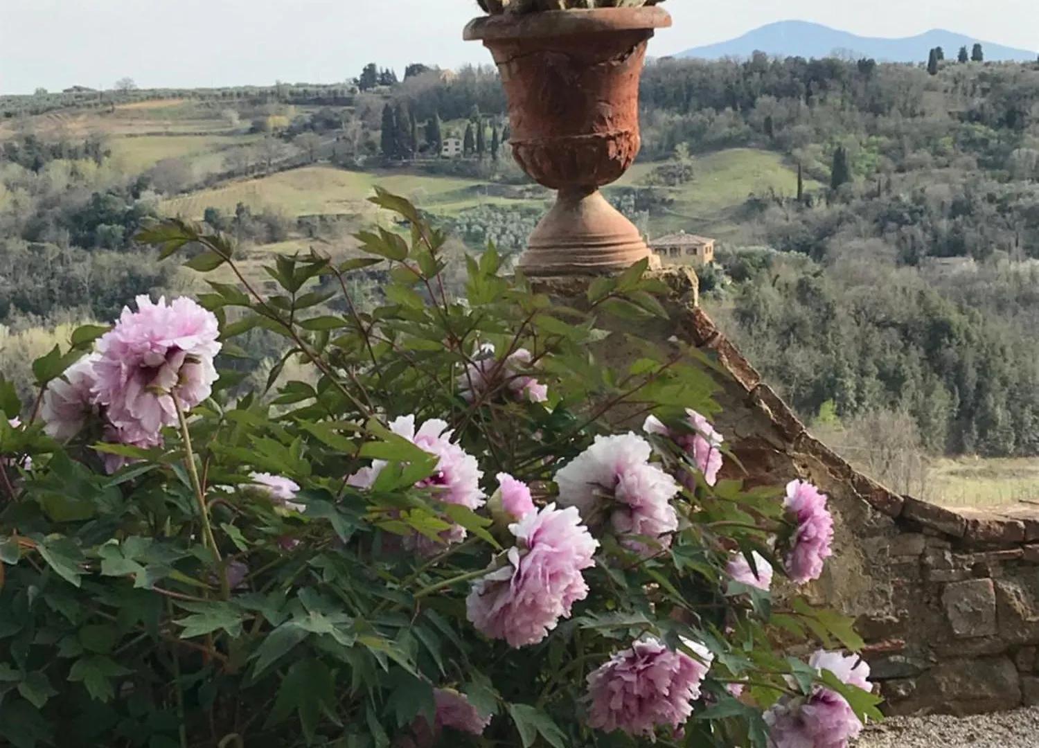 Hotel Borgo La Grancia Montisi