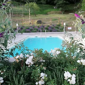  Bed & Breakfast Alle Vignole
